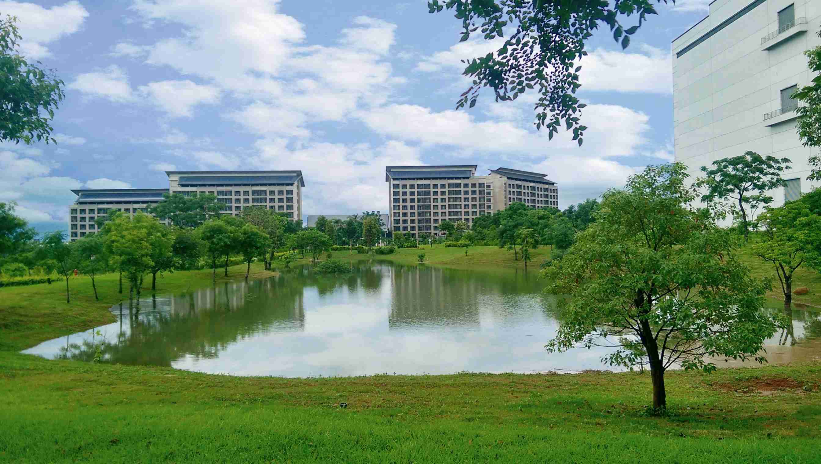 至成国际响应国际倡议生物多样性趋势，，首次发布TNFD自然相关财务揭露报告书，，，，擘划及开展至成国际生物多样性政策之承诺，，，逐步迈向与自然和谐共生